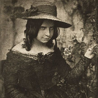 Rainbow Magic Kittens